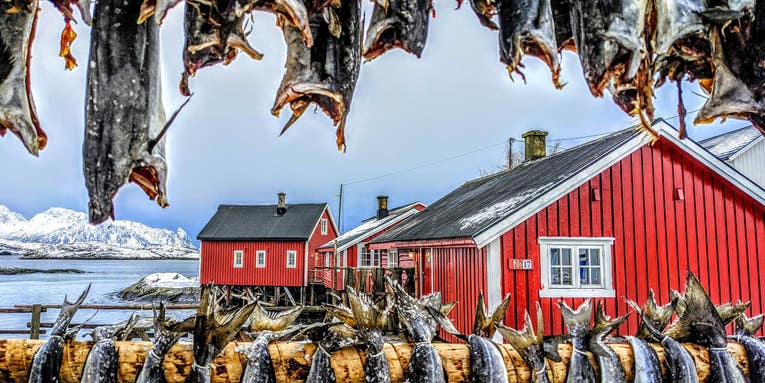 These winning food photos will make you hungry These winning food photos will make you hungry