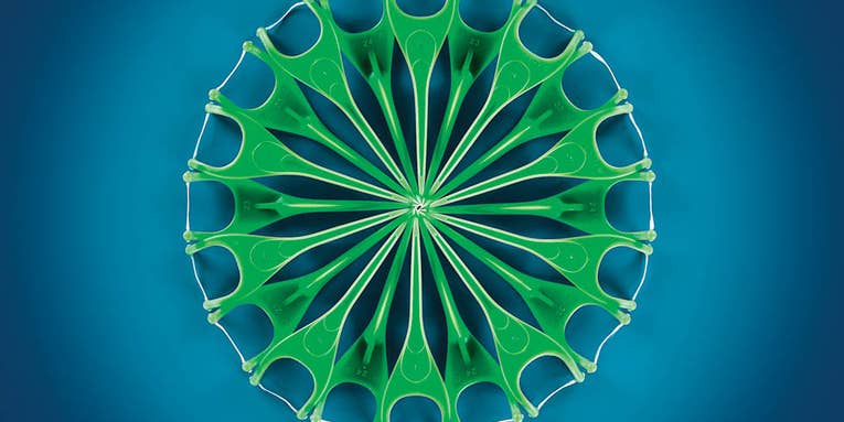 Sam Kaplan’s Mesmerizing Patterns Sam Kaplan’s Mesmerizing Patterns